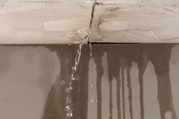 Professional Structural Drying technician working in Waterford, CT